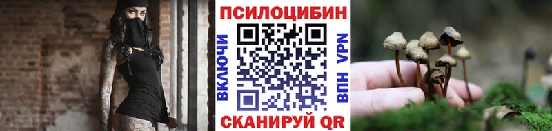 цена наркотик  МЕГА онион  Галлюциногенные грибы GOLDEN TEACHER  Навашино 